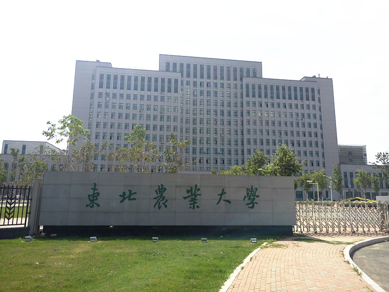 卓智助力东北农业大学 在创新中建设智慧校园